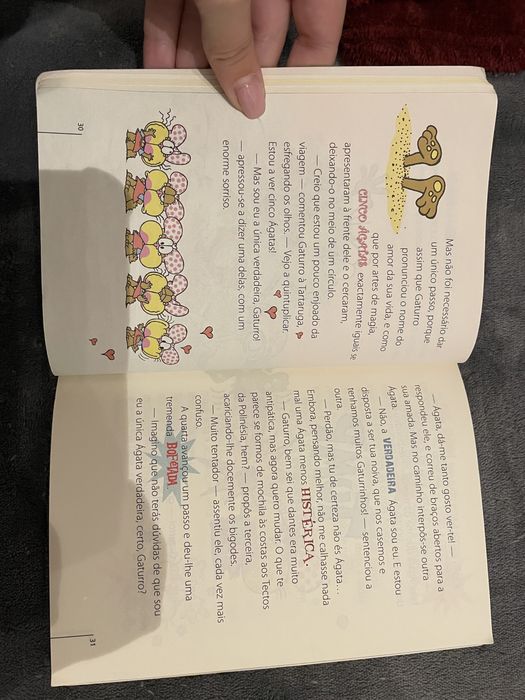 Livro “ Gaturro e o mistério das cincos ágatas” NIK