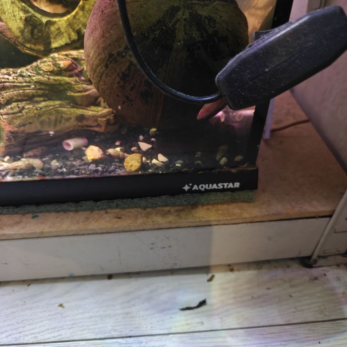 Akwarium Aquastar octopus 75i  + dwa filtry