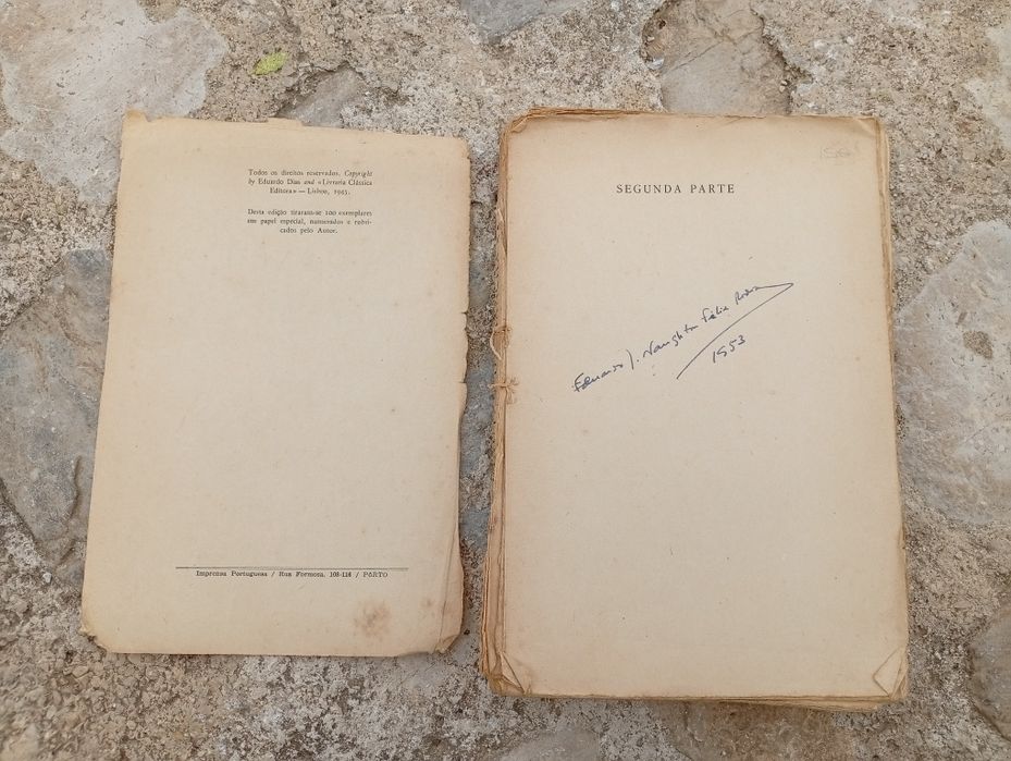 livro "Argonautas da Mancha — História de Grandes Exploradores e Corsários Britânicos"