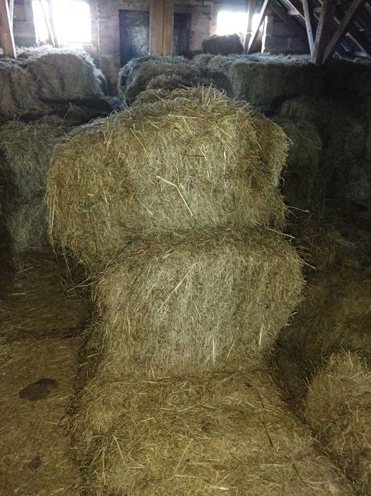 siano, słoma w małej kostce
