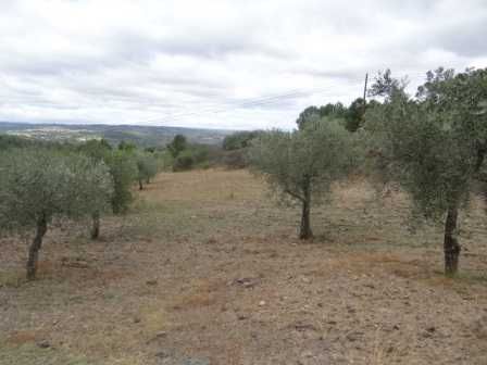 Prédio rústico (terreno) 2,4 hectares à beira da estrada
