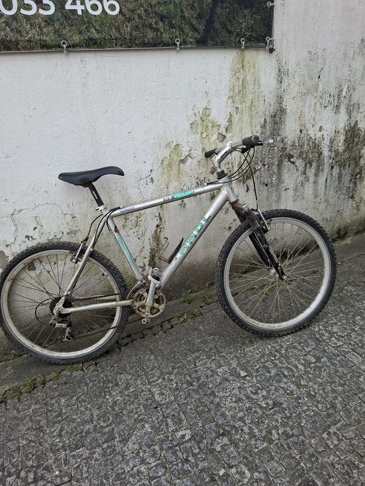 Bicicleta de montanha