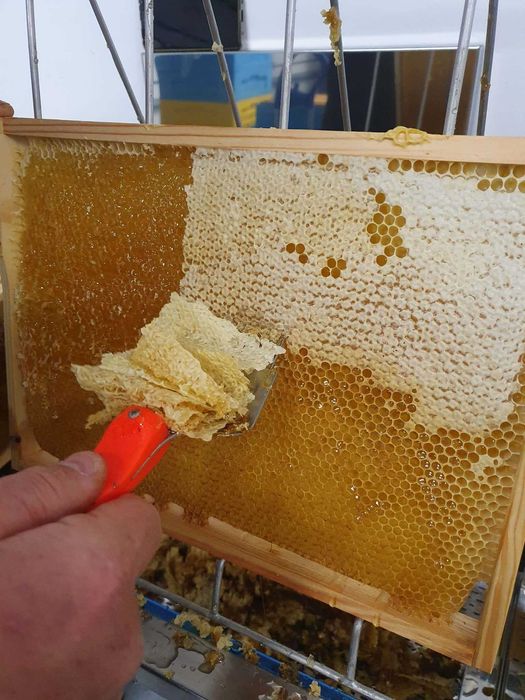 MIÓD NATURALNY―Pasieka PRADAWNA® 1957―Miody Odmianowe i Pyłki Kwiatowe