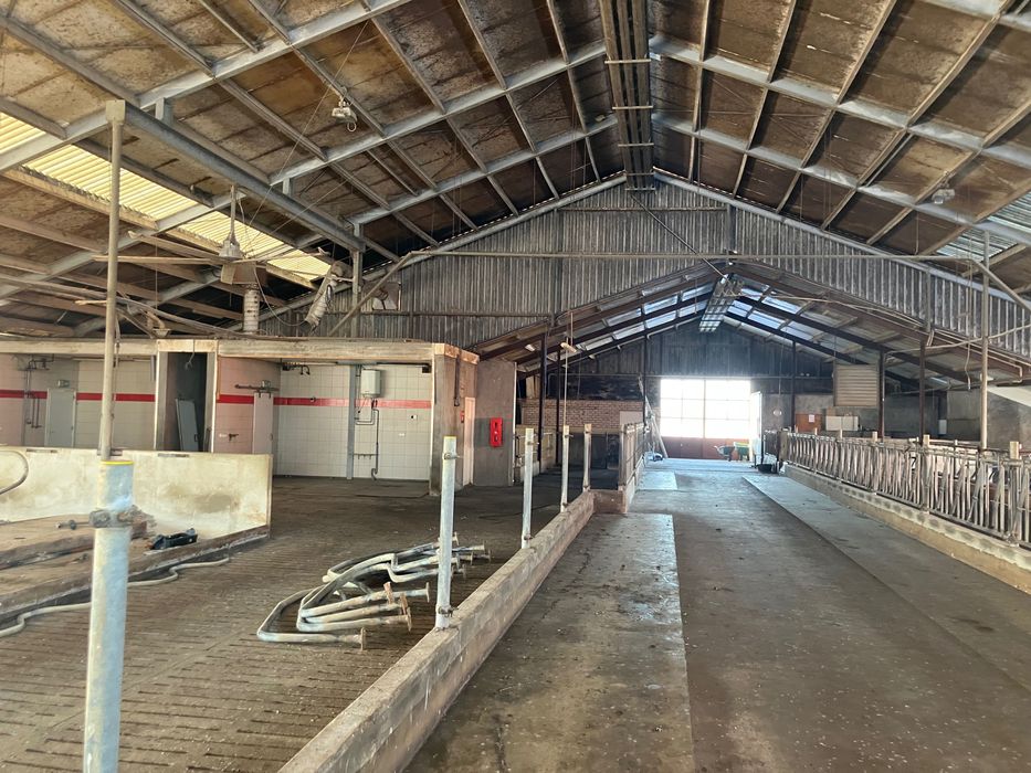 Obora budynek inwentarski 150szt ruszta konstrukcja stalowa  20x67