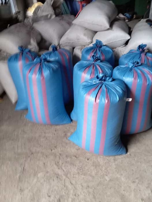 Dzień dobry sprzedam owies jary  Harnaś