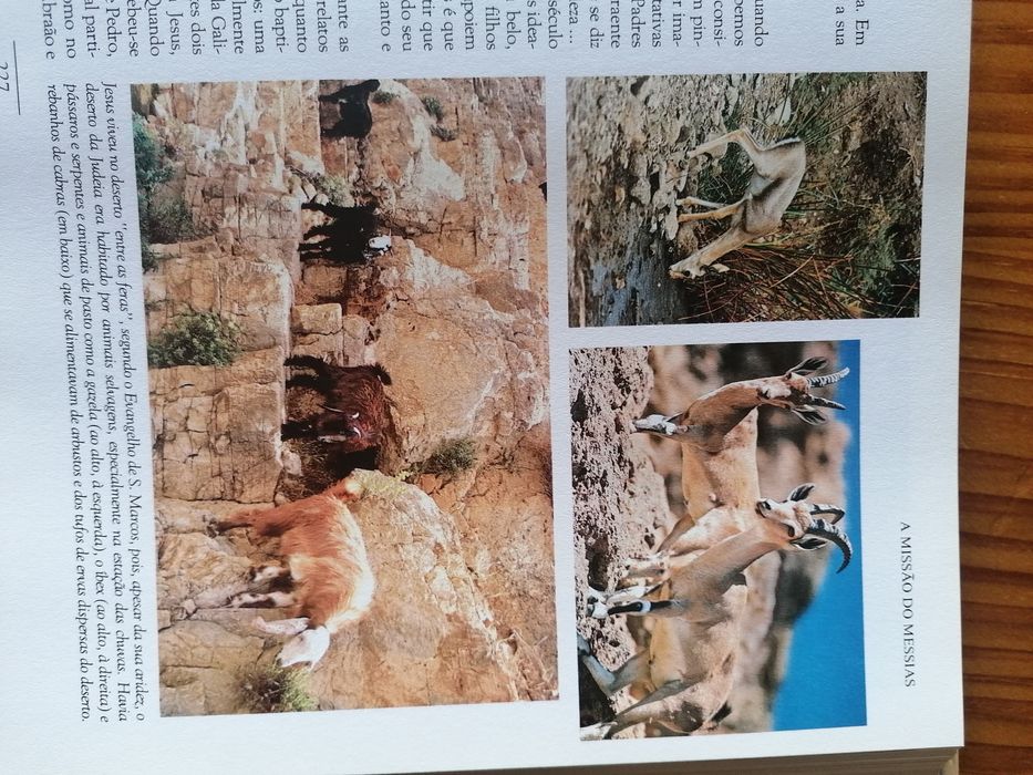 BAIXA-Jesus no seu tempo, livro das Seleções do Reader's Digest