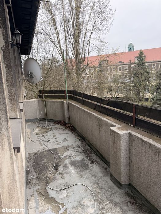 Duże mieszkanie w Bytomiu z balkonem dł. 12m - widok na park miejski
