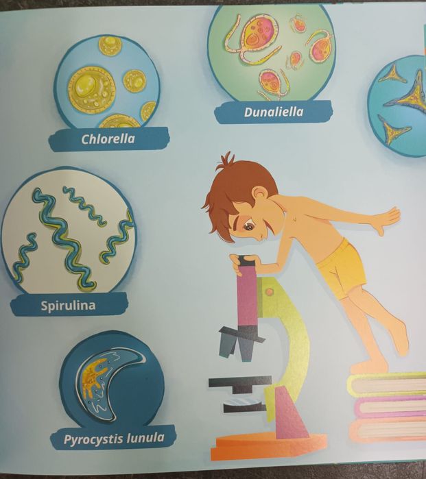 Livro ' O Verde do Azul á Descoberta das Algas'