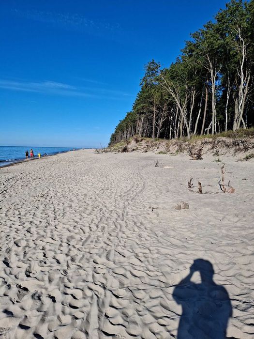 Działka nad morzem Pleśna k. Ustronia Morskiego Sarbinowo Niechorze 200m do wydm i lasku a za nimi plaża i morze
