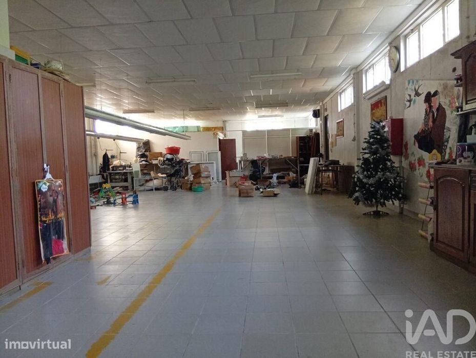 Terreno em Ucha de 695,00 m2