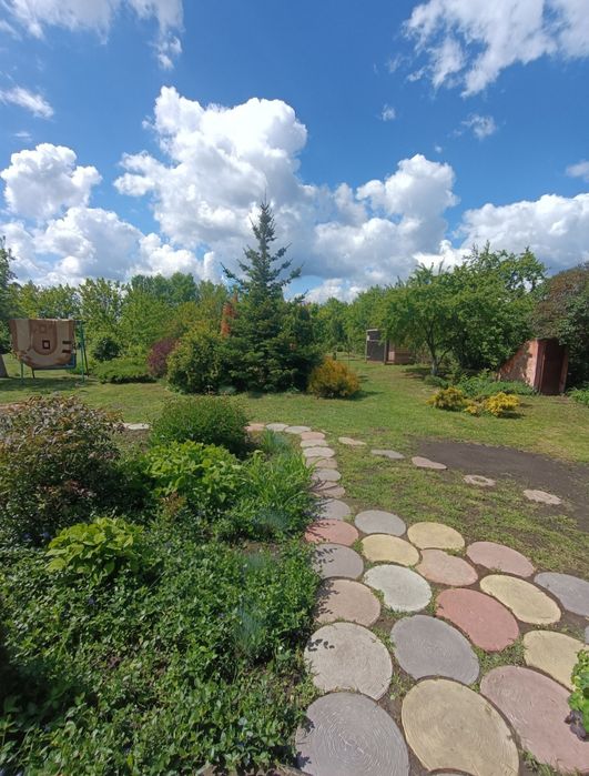 Продам будинок в с. Потіївка, Київської області