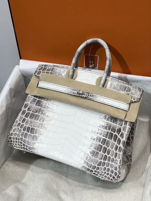 Hermes Birkin 25 Himalaya