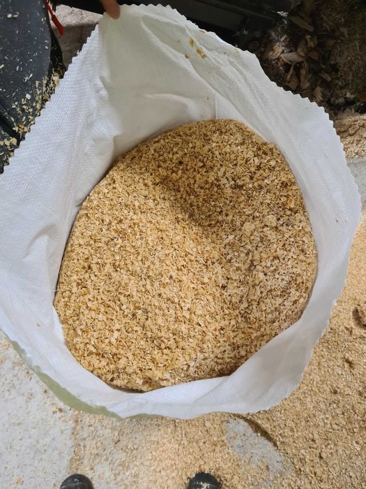Trot trociny z drzewa liściastego pakowane, drewno opałowe, opał