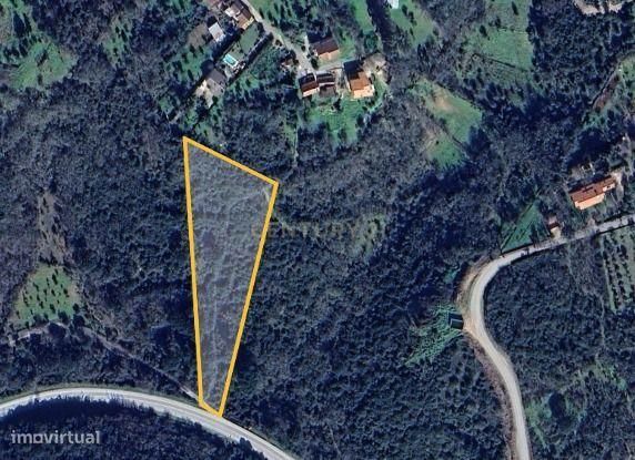 Terreno para venda em Ansião – Excelente oportunidade de investimento