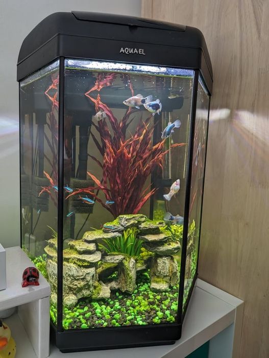 Sprzedam akwarium 60l
