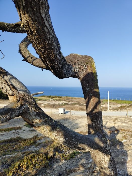 Caravana/ Roulotte Vimara, no Campimeco - Sesimbra
