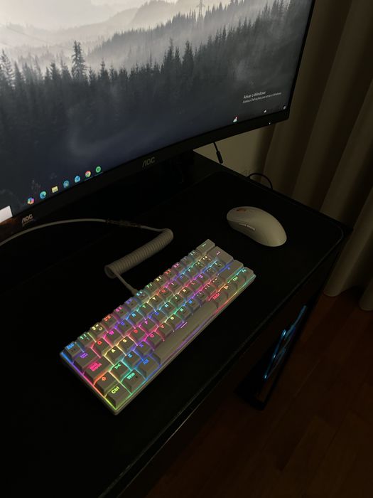 Setup completo para venda (PC + periféricos + monitor)