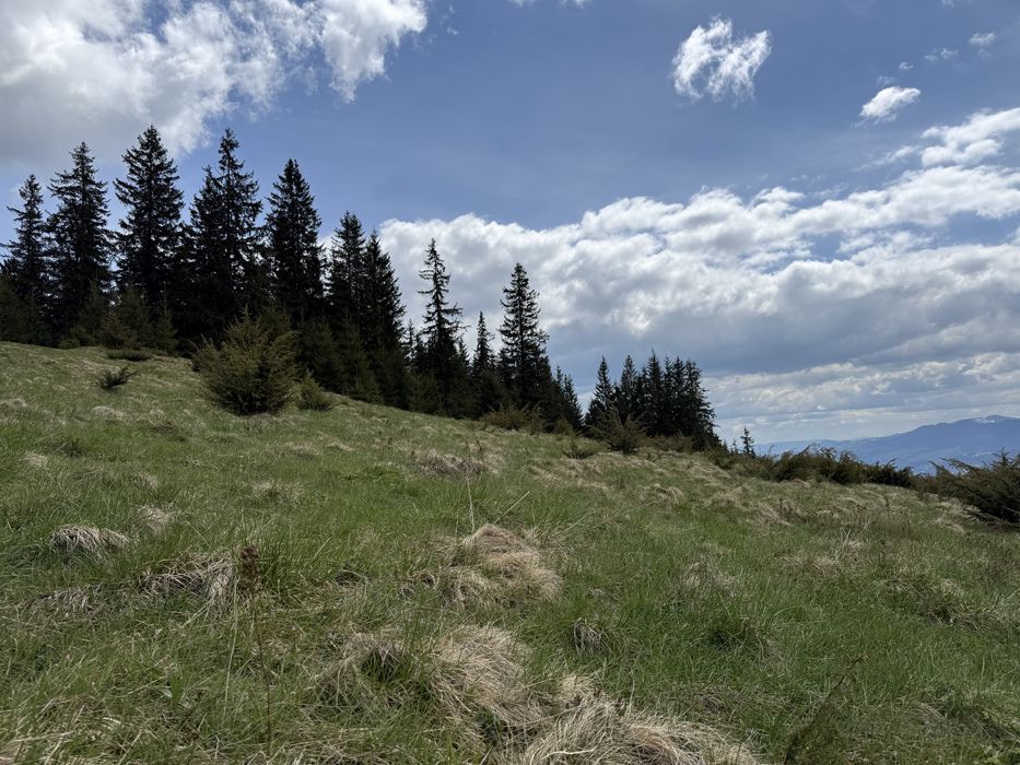 З видом на Говерлу .