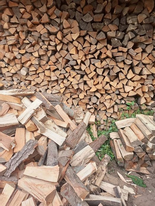 Drewno bukowe pocięte i porąbane