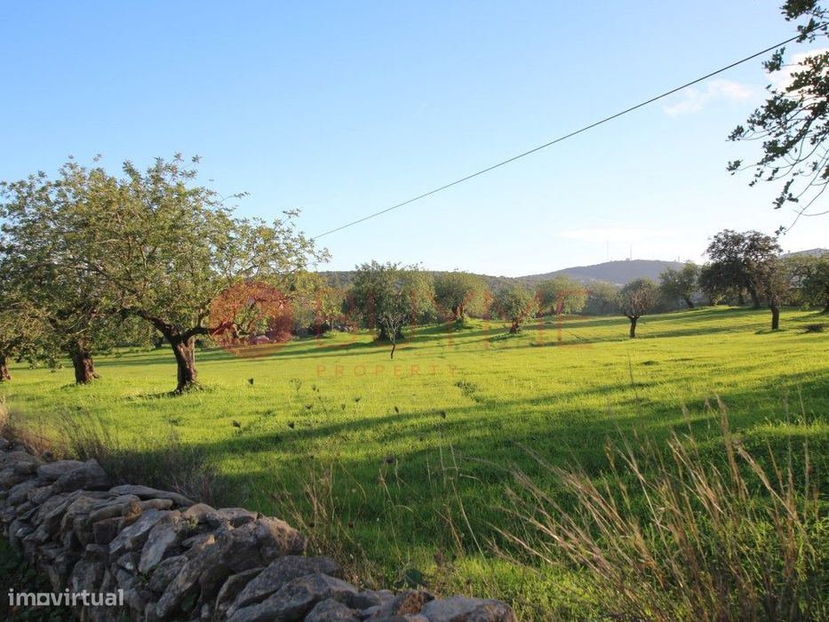 Terreno Urbano com Potencial de Construção em S. Brás de Alportel