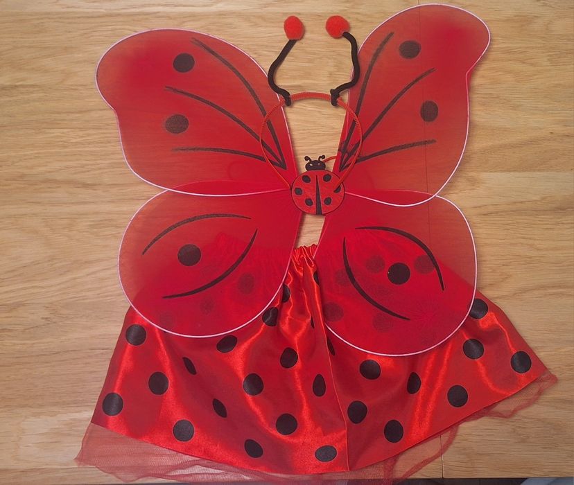 Kostium karnawałowy Biedronka