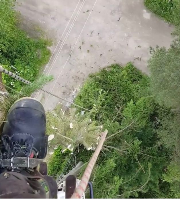 Зрізання дерев різної складності, видалення дерев, чистка ділянок