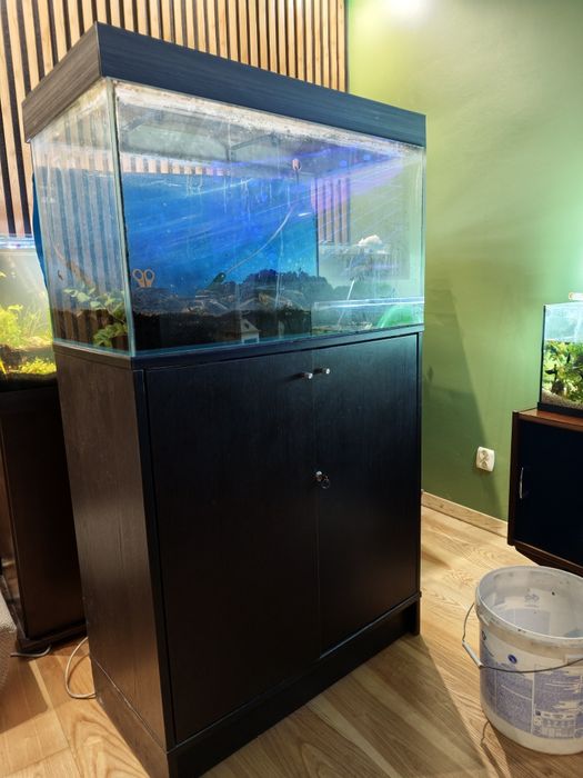 akwarium 160l optiwhite z osprzętem i szafką
