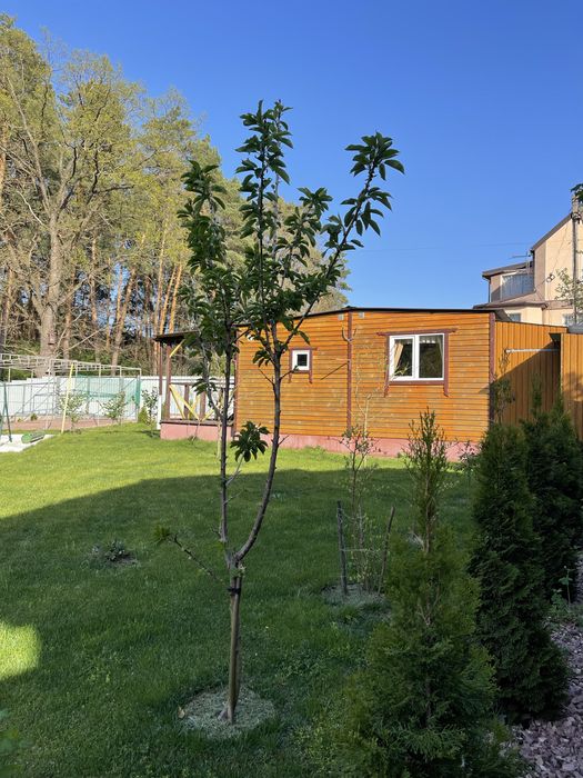 Малютянка продам модульний будинок ( ДАЧУ)  в лісі біля озера