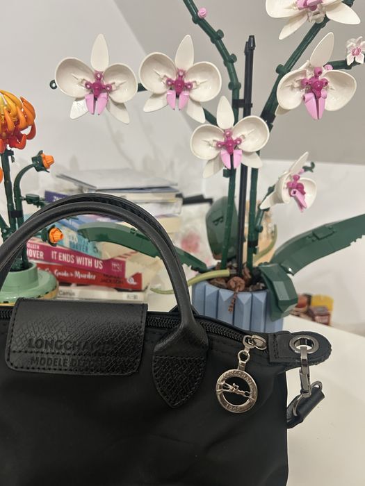 Longchamp modele depose