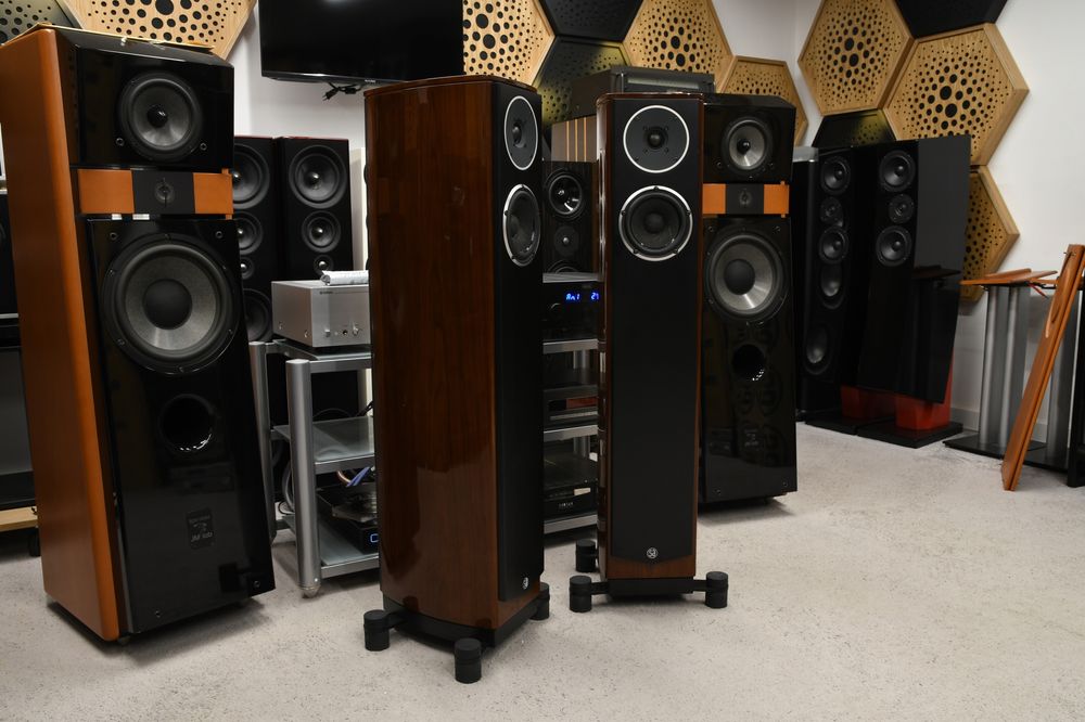 Kolumny Głośnikowe podłogowe stereo kolumny System Audio Pandion 20