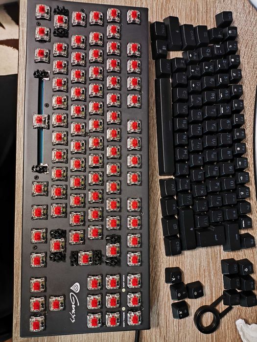 Клавіатура Genesis Thor 300 TKL