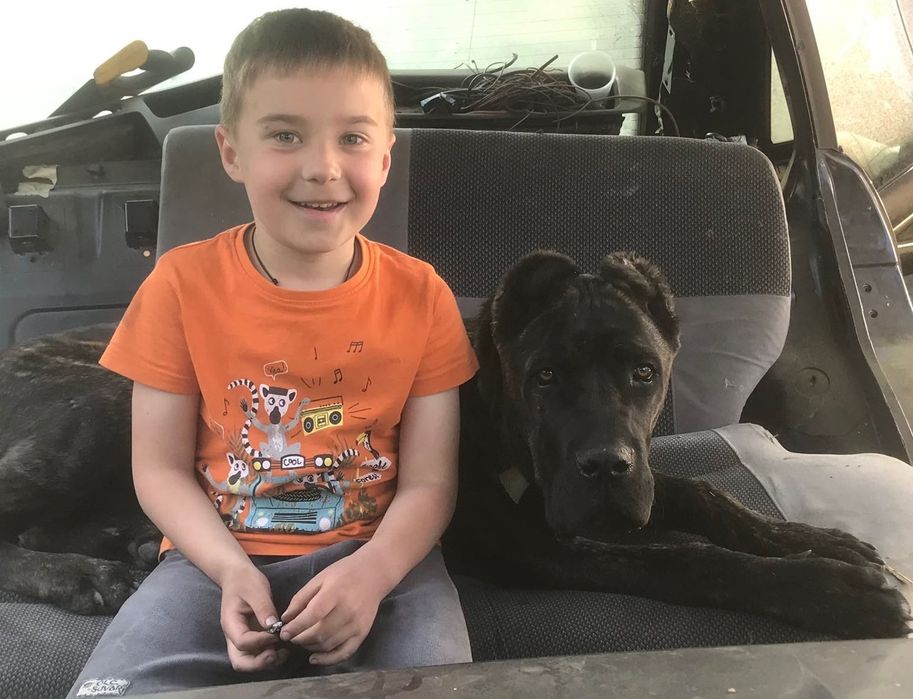 Вʼязка. Тигровий кобель шукає дівчину.