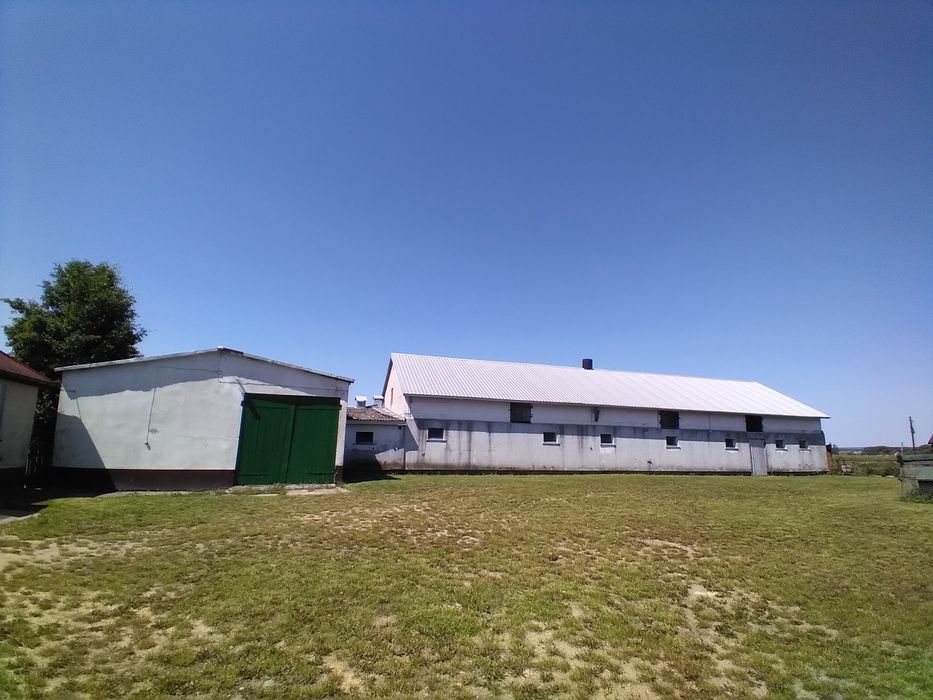 Siedlisko na sprzedaż