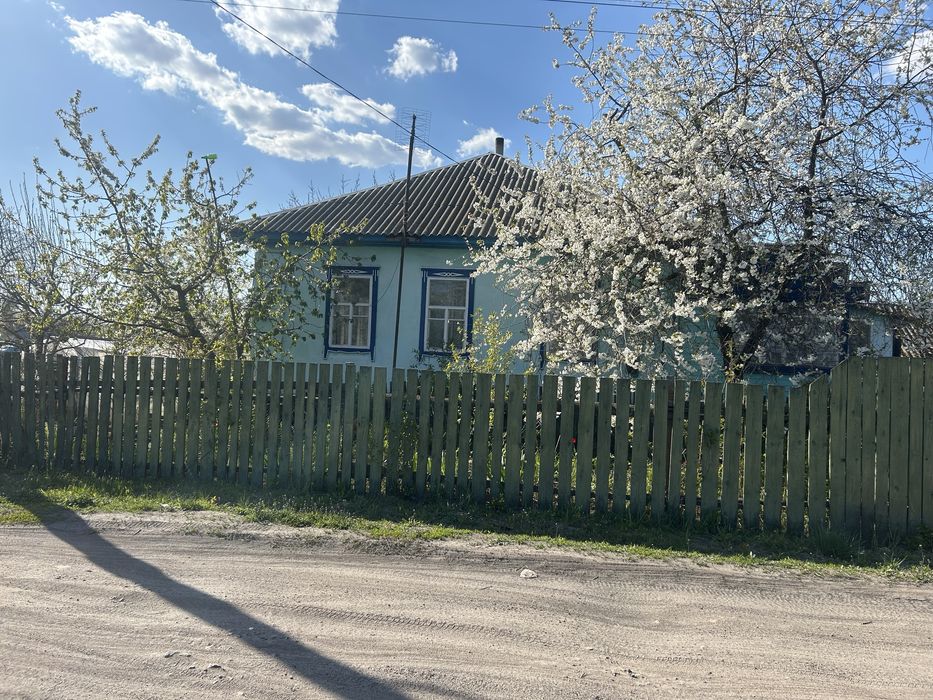 Будинок цегляний