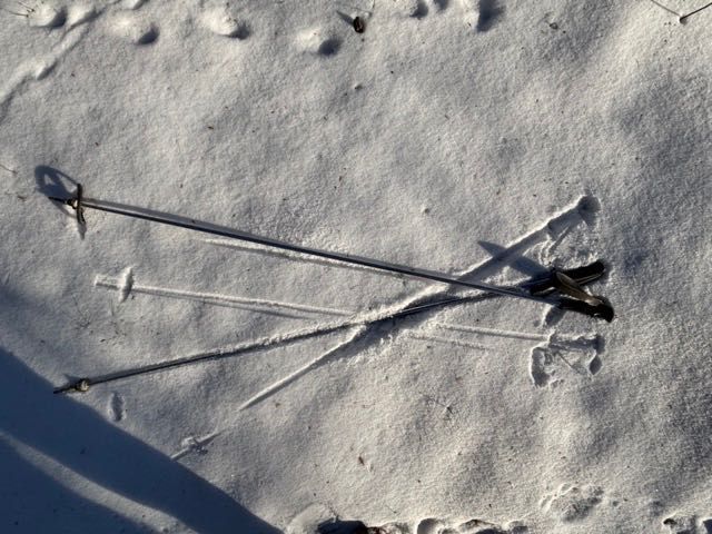 Narty zjazdowe Salomon MLX 9 + wiązania Salomon, uniseks, stan bdb