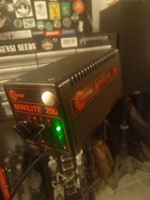 Multiblitz Minilite 200 lampy studyjne,błyskowejne