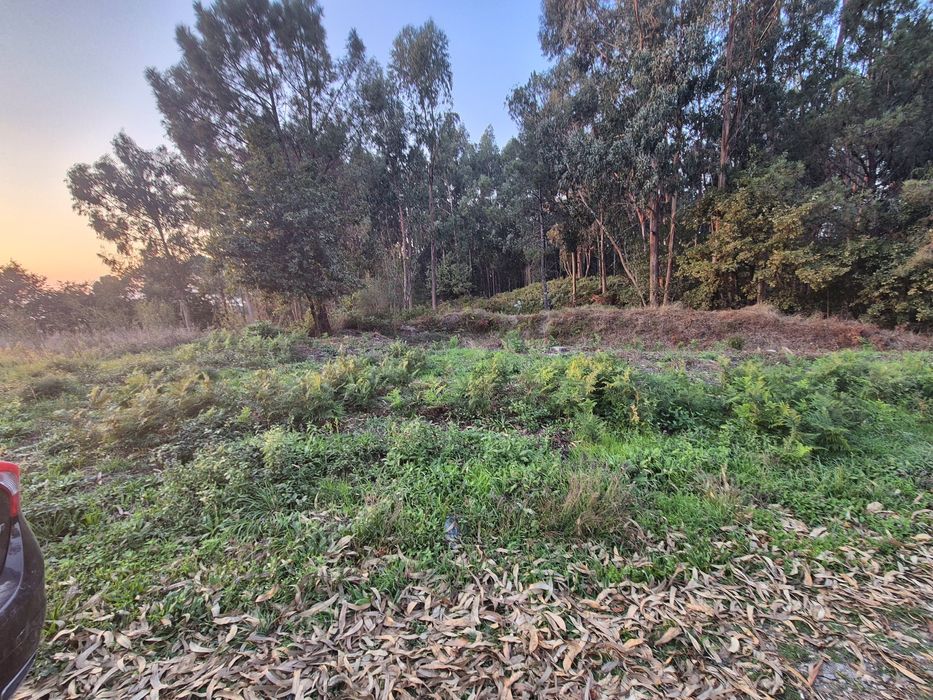 Terreno Rústico Construtivel