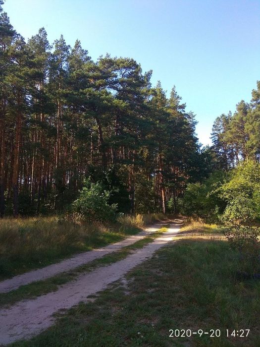 Оренда будинку з ремонтом!