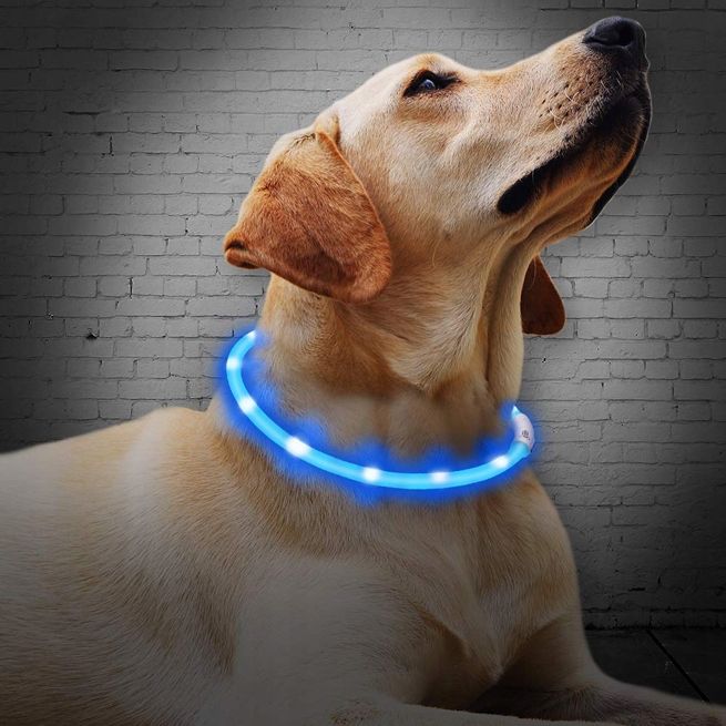 Obroża dla psa opaska świecąca LED ładowanie USB 1x70cm