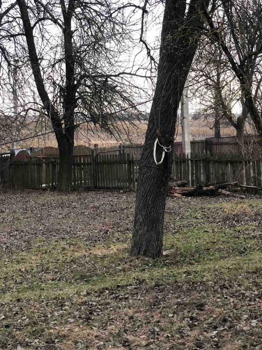 Пропоную до продажу будинок в с. Білозір'я