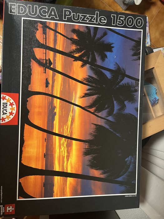 Puzzles variados adulto