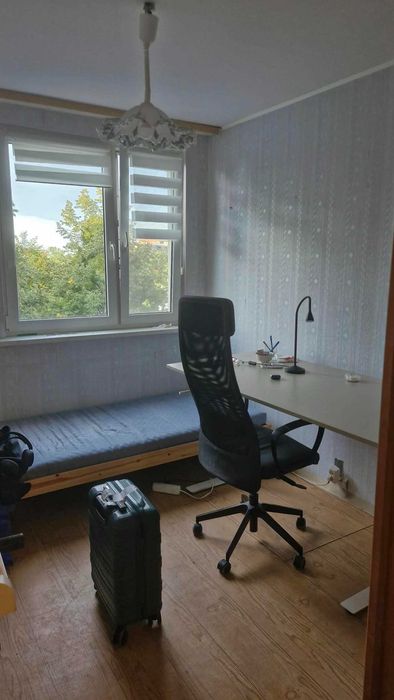 Zdjęcie 7