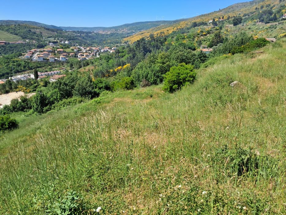 Terreno Serra das Meadas - Lamego