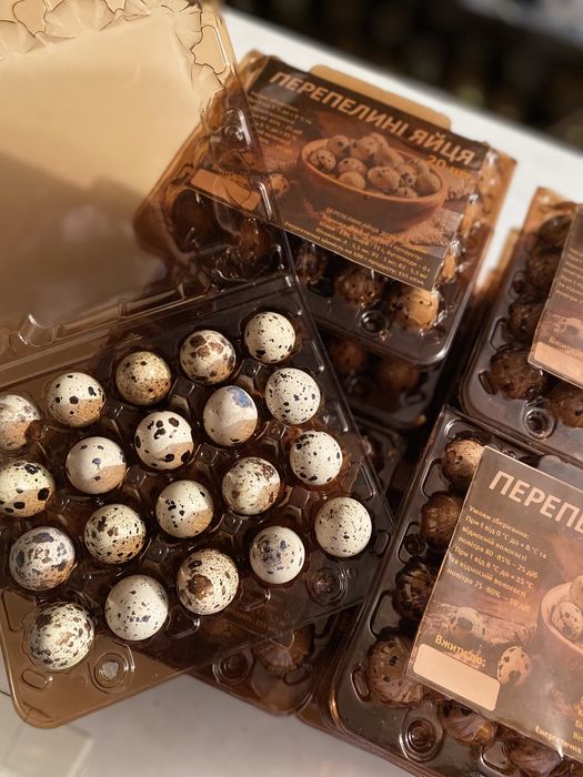 Домашні перепелині яйця