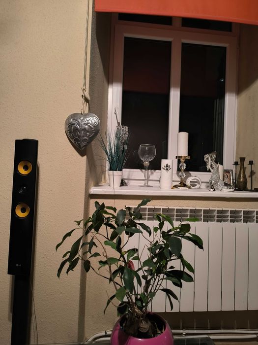 Mieszkanie Apartament przy Rynku Przemyśl do wynajęcia  /doby