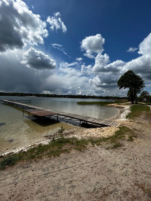 Okuninka Jezioro Białe, blisko plaży