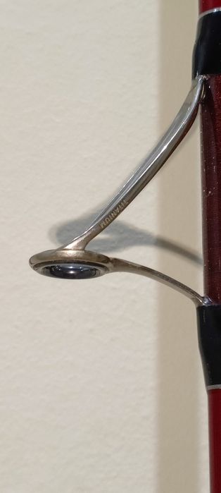 Daiwa tournament Evo tubular