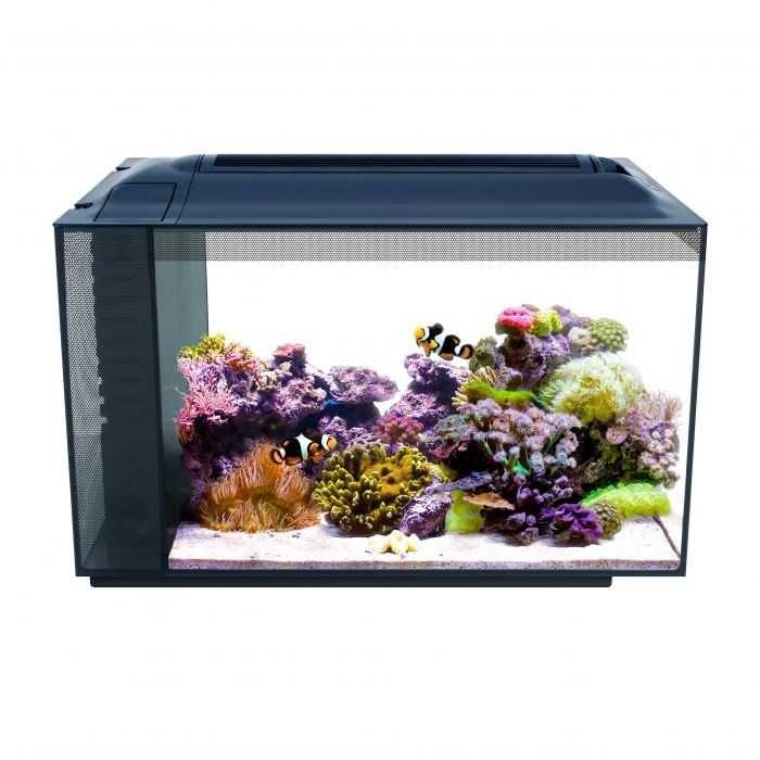 Fluval Sea Evo 52L Aquário Marinho NOVO
