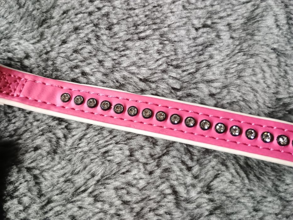 Obroża dla psa Hunter