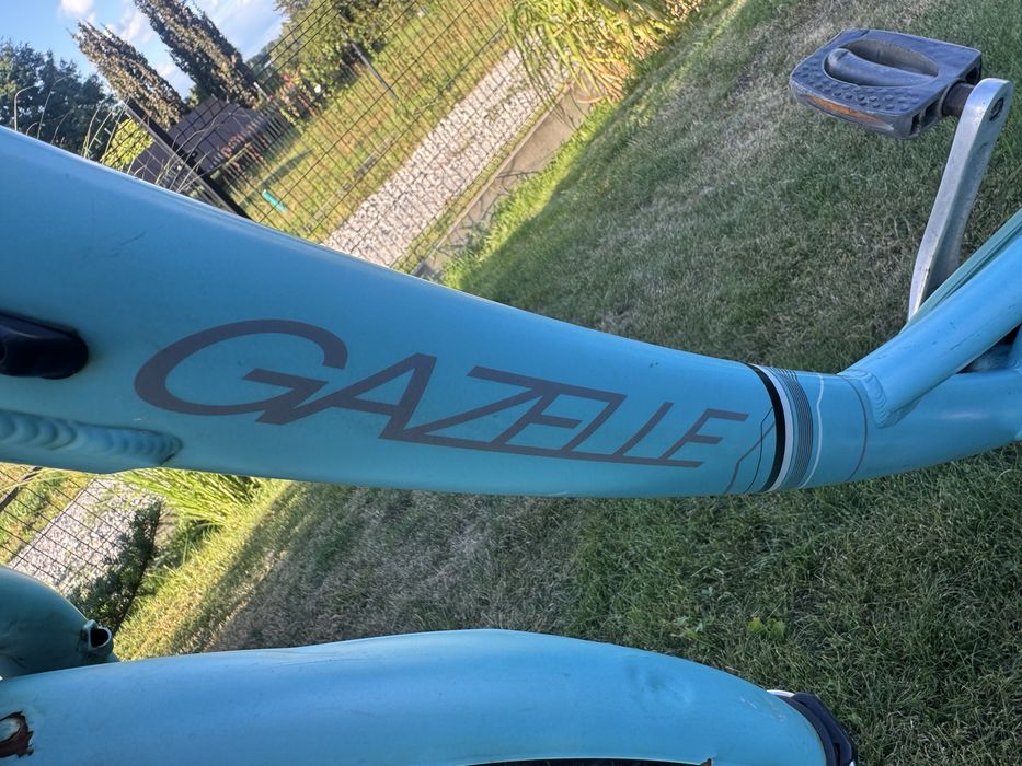 Gazelle  Esprit LTD